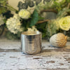 Sweet Basil in a silver tin container, against a white & green floral background.