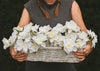Paper Flowers with Sophie Longhurst