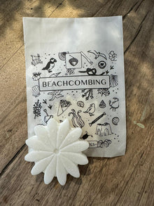  Beachcombing Vegan Wax Melt