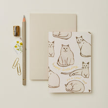  Happy Birthday to a Cool Cat - Birthday Greeting Card | Wanderlust Paper Co.