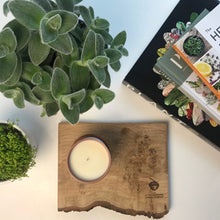  Subscription Box (6 months) (one payment)